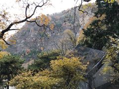 -北京鹫峰国家森林公园