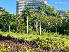 -北海金昌开元名都大酒店·四季轩中餐厅