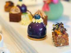 -蝶舍·MAISON PAPILLON