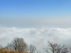 -大觉寺-停车场