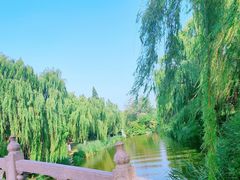 -济南大明湖景区