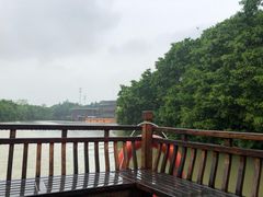 -大湾区中央湿地公园
