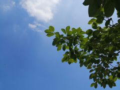 -铁山坪森林公园