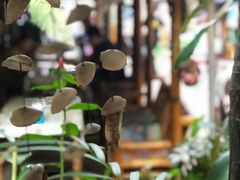 -Jungle Kitchen