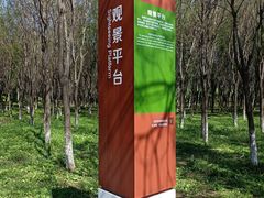 -东郊湿地公园