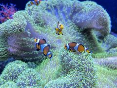 -成都浩海立方海洋公园