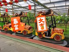 -南宫五洲植物乐园