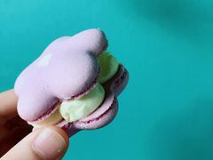 -好利来(四季青店)