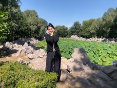 -红山国家森林公园