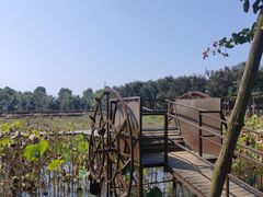 -武汉紫薇都市田园