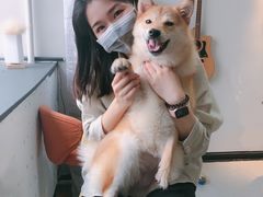 -汪说·狗咖(旺城大厦店)