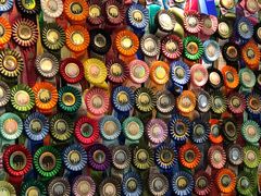 -more than meow吴止猫主题餐厅(承德 中船汇店)