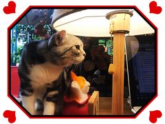 -咖法森林·咖啡  酒吧(天河店)