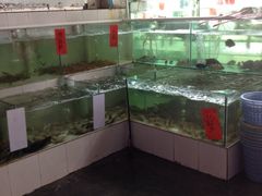 iphone_upload_pic-绢姐海鲜大排档