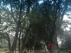 -棒棰岛宾馆景区