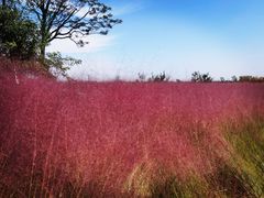 -汉长安城未央宫国家考古遗址公园