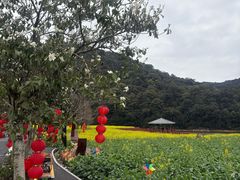-广州市石门国家森林公园