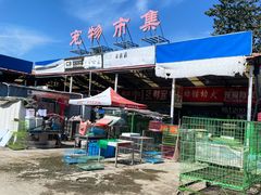 -中环花鸟鱼虫市场