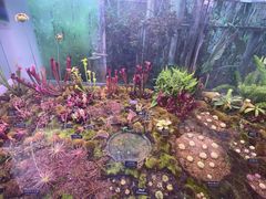 -中国科学院西双版纳热带植物园