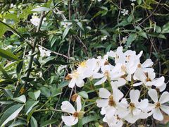 -汕尾铜鼎山旅游区