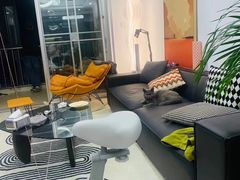 -欣宠猫屋·矮脚拿破仑·蓝金金渐层