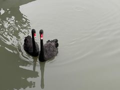 -东钱湖小普陀景区