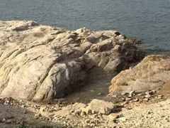 -日照海滨国家森林公园