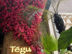 -Tegu泰古莲·泰国餐厅(红山6979店)