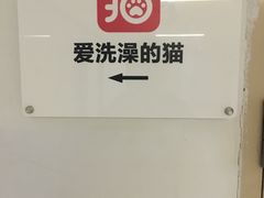 -爱洗澡的猫(望京店)