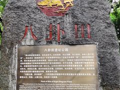 -八卦田遗址公园
