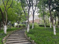 -合肥生态公园