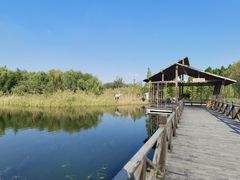 -溱湖国家湿地公园