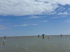 -碧海金沙