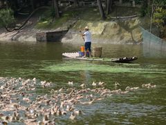 -郴州特产舜华临武鸭(郴州西站店)