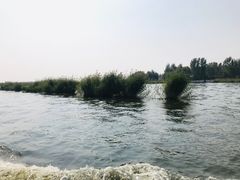 -白洋淀景区