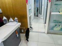 -纳吉亚猫专科动物医院博雅分院