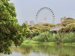 -鹤之洲湿地公园