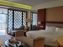 -宜春明月山维景国际温泉度假酒店