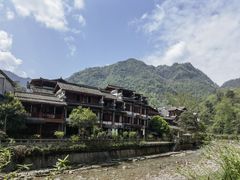 -龙翔山庄雷鸡肉(青城后山泰安古镇店)