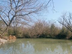 -天禄堂西溪庄园