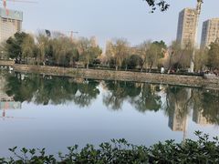 -宝岛公园
