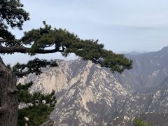 -华山风景名胜区