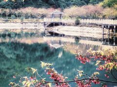 -广州市流溪河国家森林公园