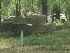 -秦皇岛野生动物园