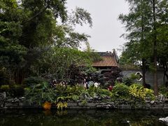-顺峰山公园