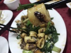 -蛇口康乐快餐鱼仔档(翠苑小区店)