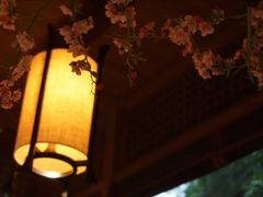 -绿茶餐厅(西湖银泰百货店)