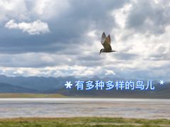 -花湖生态旅游区