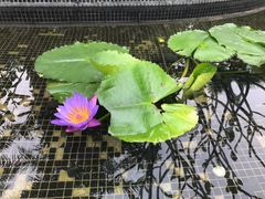 -台山颐和温泉城