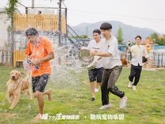 -趣玩宠物乐园寄养训犬训狗游泳池